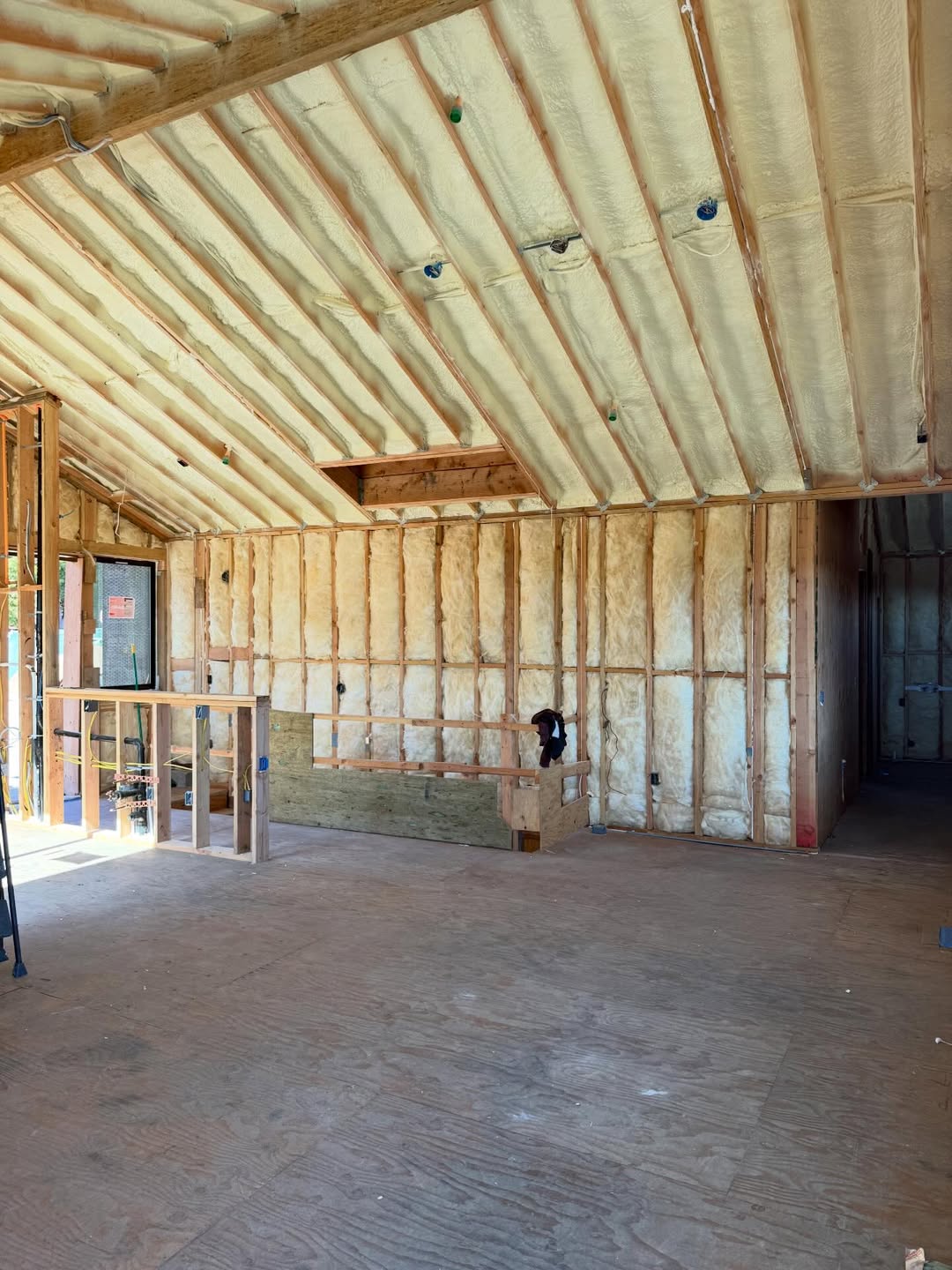 SaveClip.App_645484601_17903002917379886_5070160482340525594_n