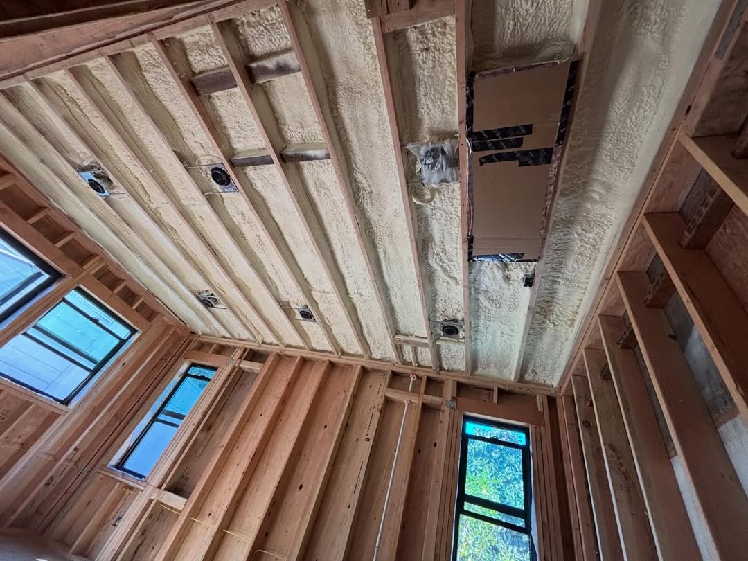 SaveClip.App_648326665_18057317030447626_3421769986544084453_n