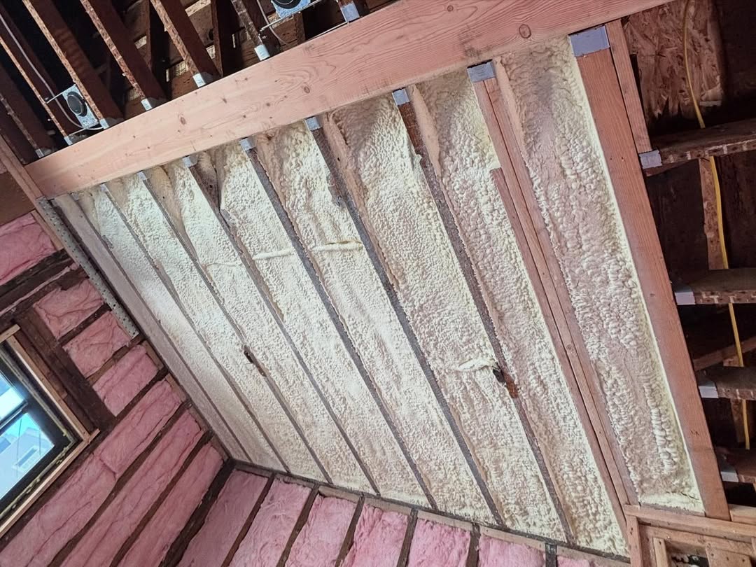 SaveClip.App_649234830_18057316994447626_3065293714364547005_n